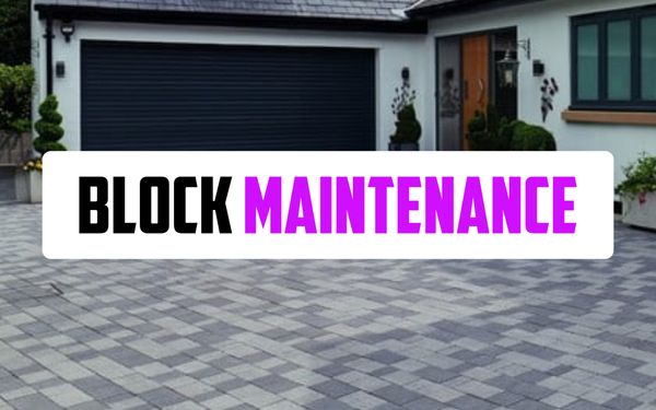 Article photo for How to Clean and Maintain Your Block Paving showing light grey/blue block paving